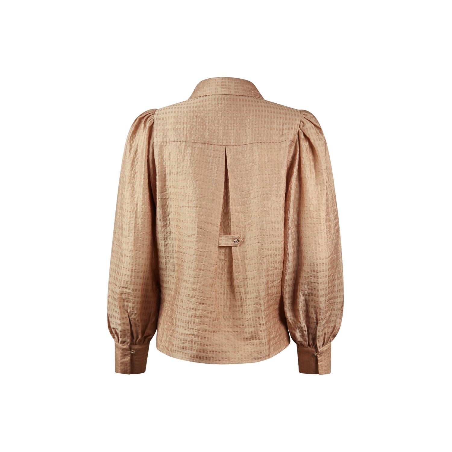 Blouse shiny
