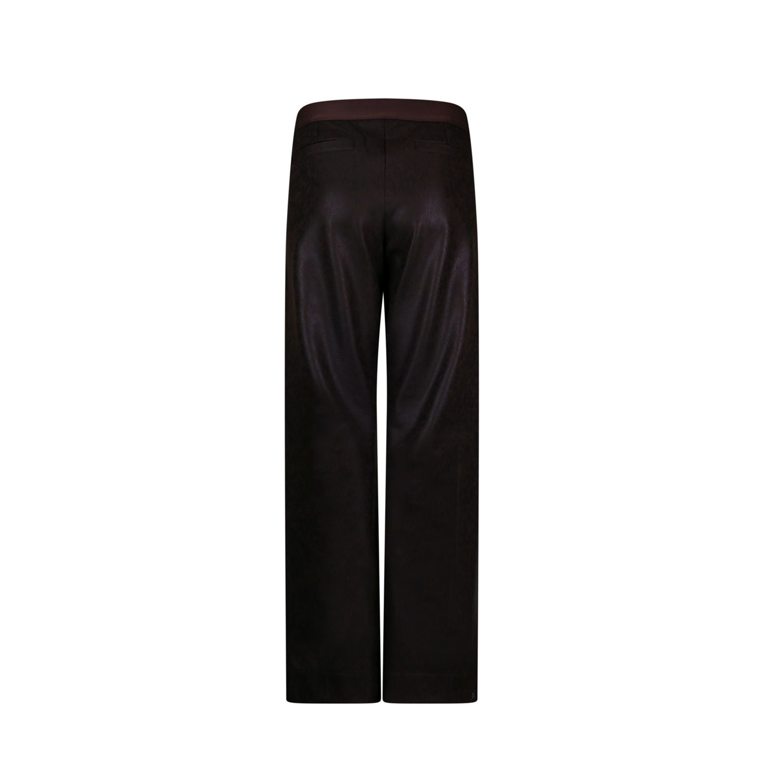 Pant shiny