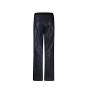 Pant shiny